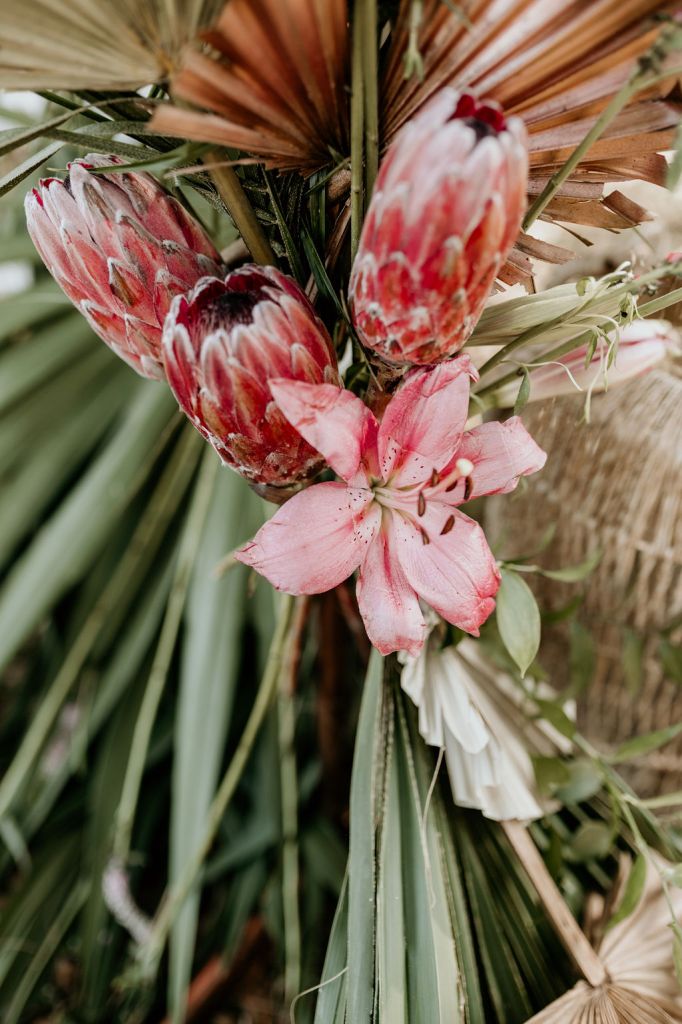 Wedding Photographer Portfolio Builder